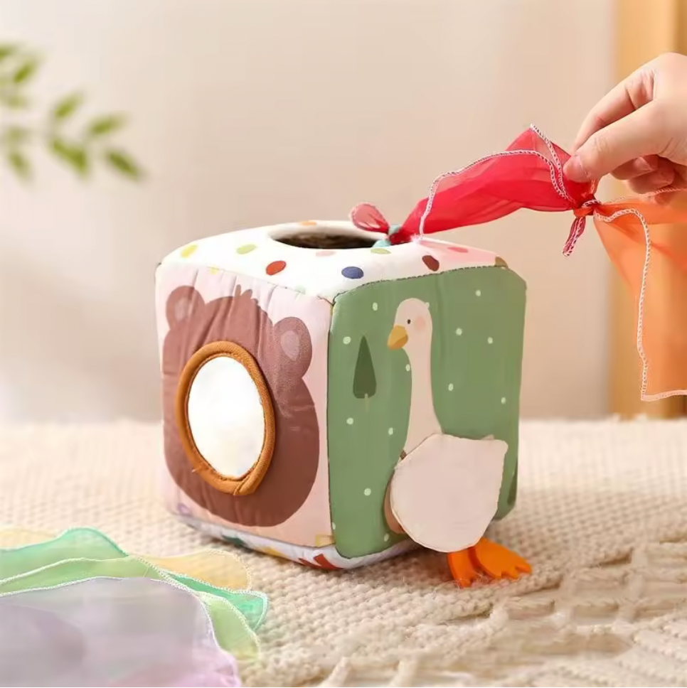 Montessori Tissue Box